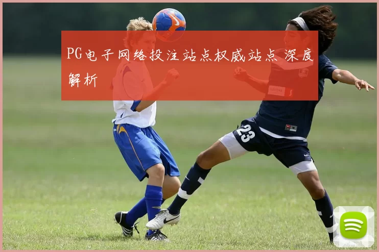 PG电子网络投注站点权威站点 深度解析