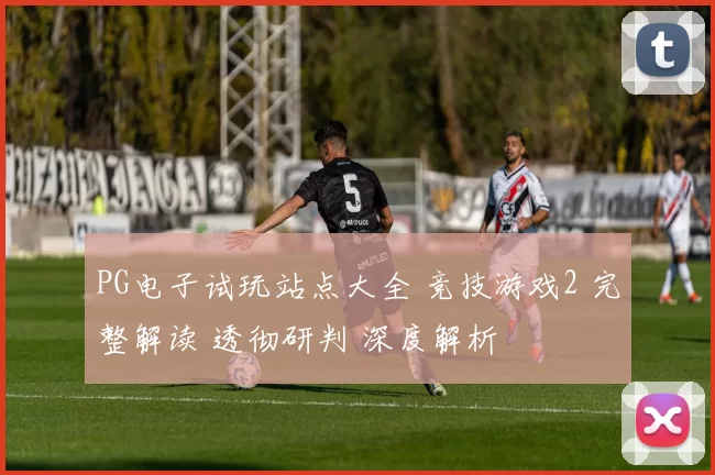 PG电子试玩站点大全 竞技游戏2 完整解读 透彻研判 深度解析