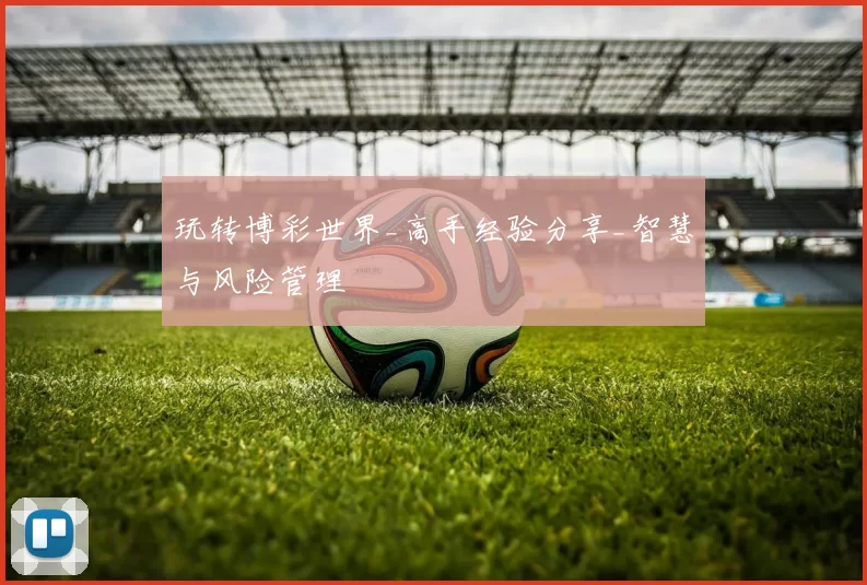 玩转博彩世界_高手经验分享_智慧与风险管理