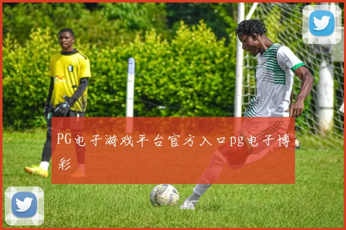 PG电子游戏平台官方入口pg电子博彩