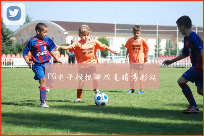 PG电子模拟游戏竞猜博彩站