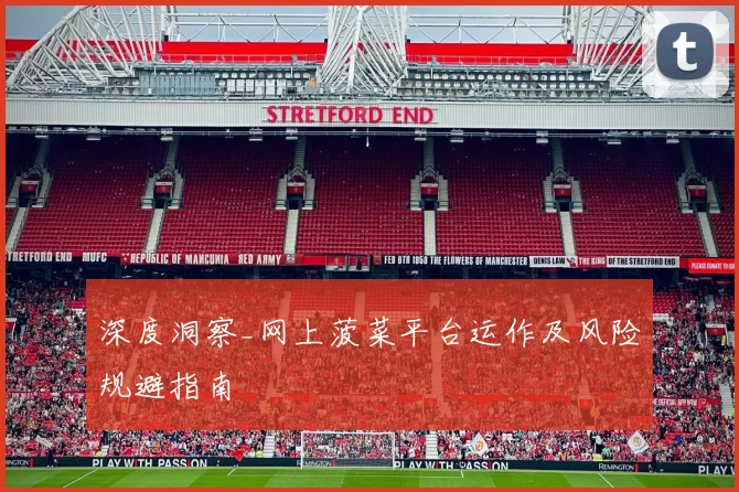 深度洞察_网上菠菜平台运作及风险规避指南