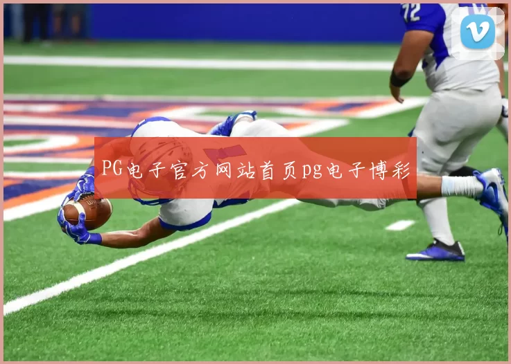 PG电子官方网站首页pg电子博彩