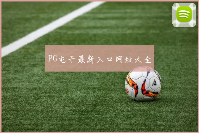 PG电子最新入口网址大全