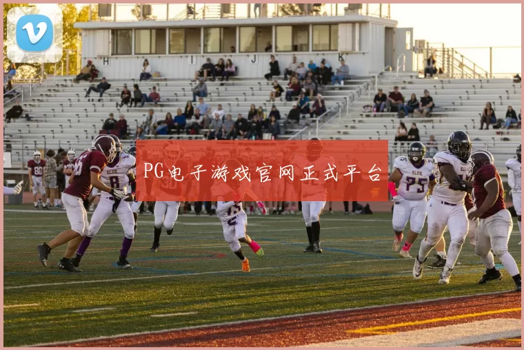 PG电子游戏官网正式平台