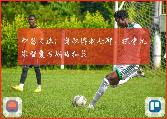 智慧之选：驾驭博彩社群，探索玩家智囊与战略秘笈