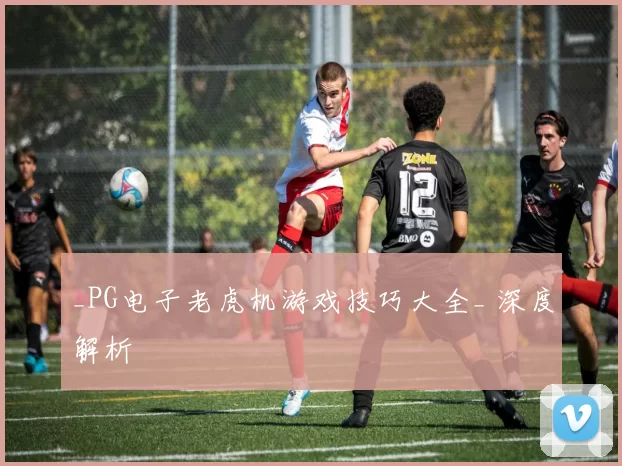 _PG电子老虎机游戏技巧大全_ 深度解析