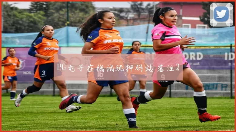 PG电子在线试玩押码站 落注2