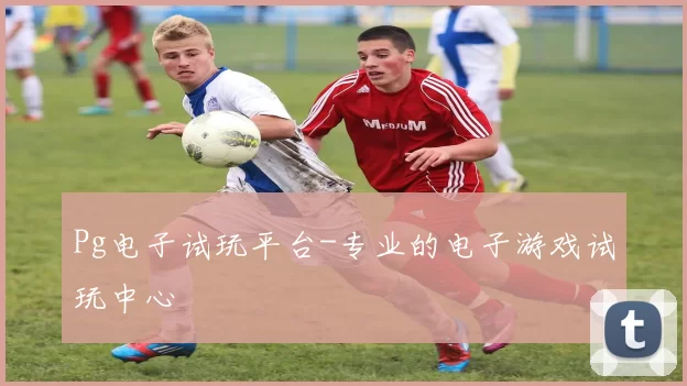 Pg电子试玩平台-专业的电子游戏试玩中心