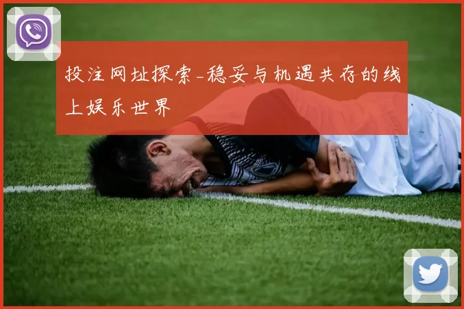 投注网址探索_稳妥与机遇共存的线上娱乐世界