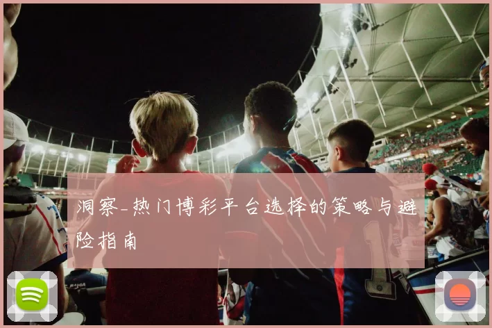 洞察_热门博彩平台选择的策略与避险指南