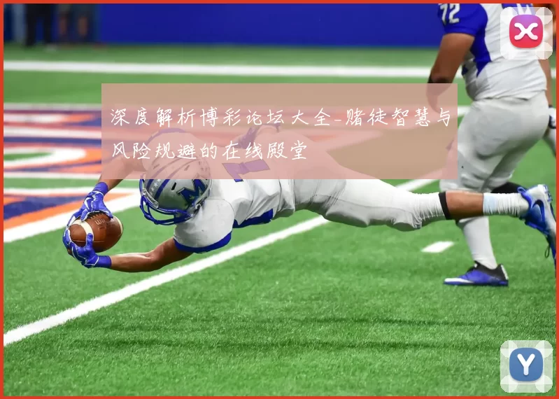 深度解析博彩论坛大全_赌徒智慧与风险规避的在线殿堂