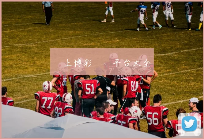 網上博彩娛樂平台大全