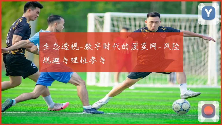 生态透视_数字时代的菠菜网_风险规避与理性参与