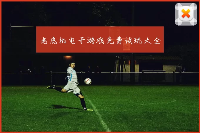 老虎机电子游戏免费试玩大全