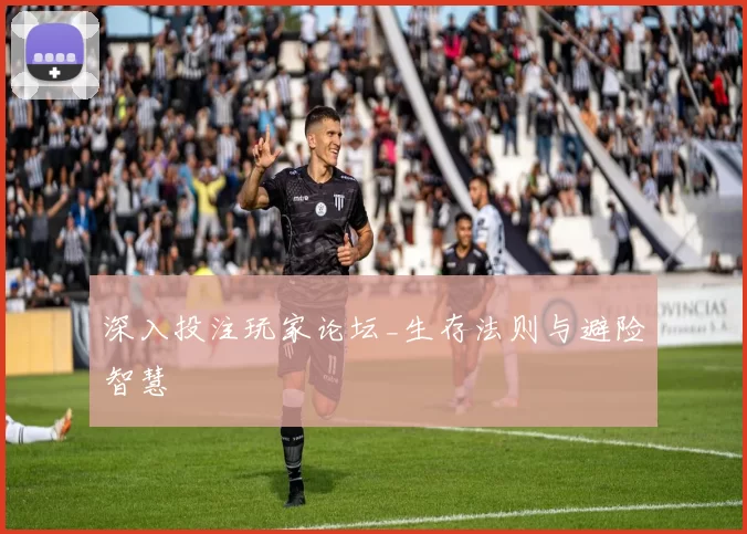 深入投注玩家论坛_生存法则与避险智慧