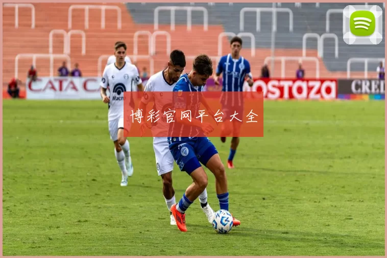 博彩官网平台大全