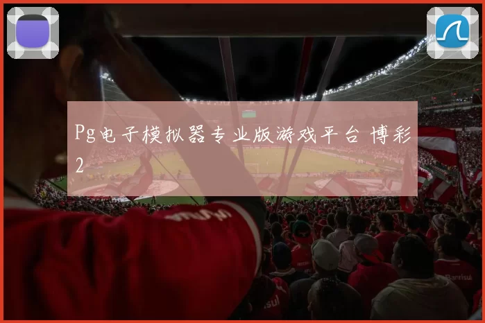 Pg电子模拟器专业版游戏平台 博彩2