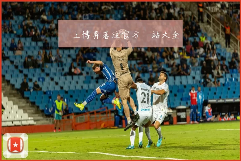 網上博弈落注官方網站大全