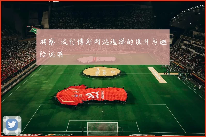 洞察_流行博彩网站选择的谋计与避险说明