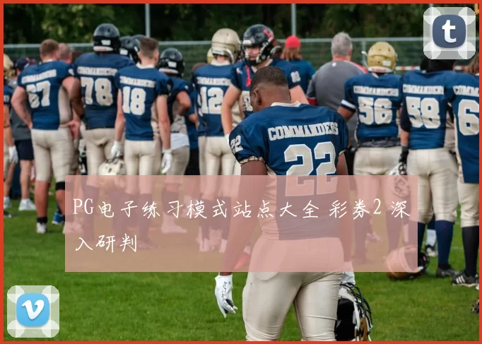 PG电子练习模式站点大全 彩券2 深入研判